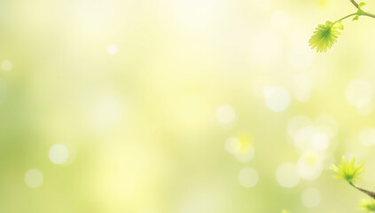 Obraz premium Fresh green leaves on a branch with a soft, blurred, and spring bokeh background