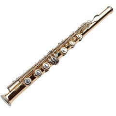 Fototapeta premium flute on transparent background