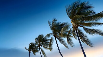 Palm trees swaying in the twilight breeze of a tropical paradise