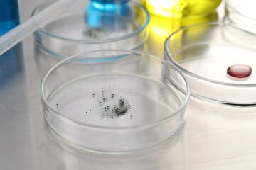 Petri dishes with samples on metal table, closeup