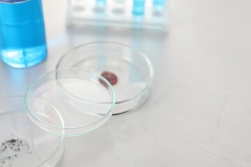 Petri dishes with samples on light table, closeup. Space for text