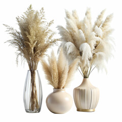 Elegant dried pampas grass arrangements in stylish vases against a clean white background