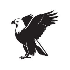eagle black illustration