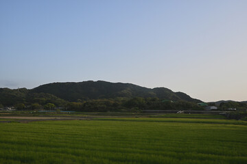 Obraz premium 田舎の風景