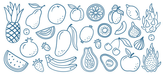 Hand-drawn doodle illustration of assorted fruits like pineapple, mango, and dragon fruit in blue line art, ideal for healthy eating, tropical themes, and food-related designs.