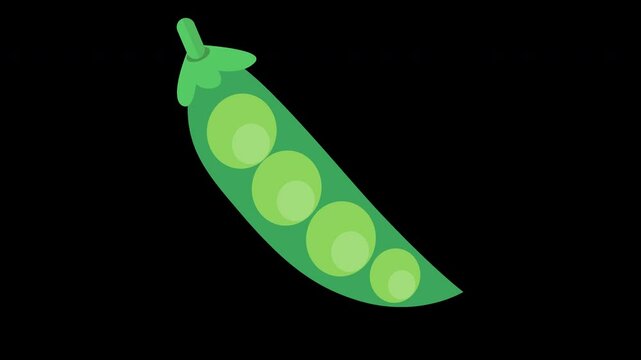 Animated Pea Pod with Four Peas Inside on a Transparent Background
