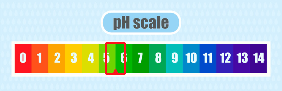 pH value scale chart for acid and alkaline solutions, acid-base balance infographic