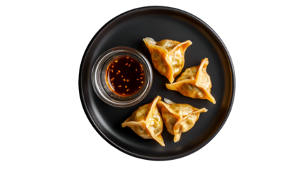 Steamed Asian Pork Dumplings with Soy Sauce and Green Onions