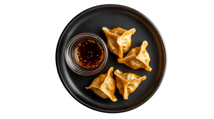 Steamed Asian Pork Dumplings with Soy Sauce and Green Onions