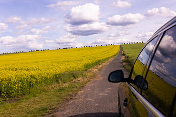 Narrow asphalt road passing through yellow rapeseed field with car side view and reflection of sky and field. Outdoor travel photography. Road trip and countryside exploration concept. 
