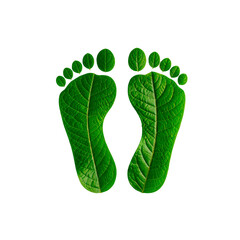 Footprints made from green leaves, symbolizing CO2 reduction, carbon-free environment	
