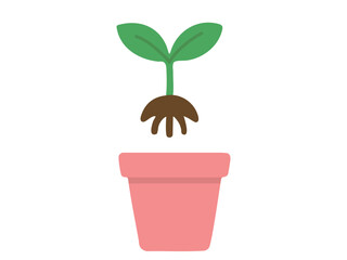 Young plant sprout with green leaves and roots above empty pink flower pot, isolated on white background, graphic illustration. concept of planting a plant, gardening, seedling, botany, nature