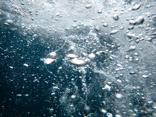 Air bubbles underwater rising to water surface, natural scene, bubbles under water, bubble...