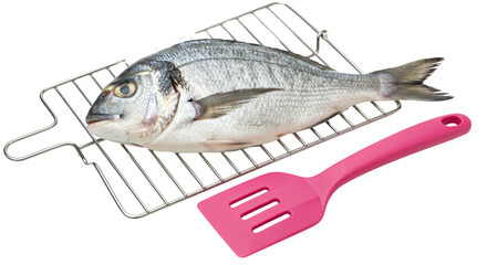 Isolated Fish on Grill with Spatula