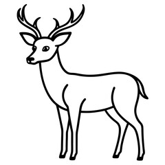 deer vector illustration