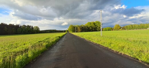 droga pole kwiaty chmury czarne burza  © mobile