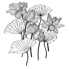 abstract, art, backdrop, background, beauty, blossom, botanical, card, creative, decor, decoration, decorative, design, drawing, elegant, element, fabric, floral, flower, frame, graphic, hand drawn, i