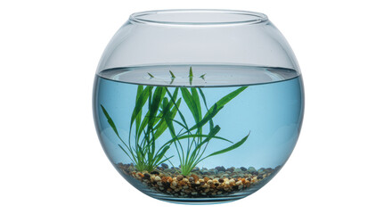 Isolated Fishbowl with Plants