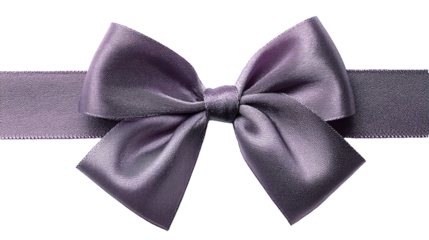 A ribbon bow purple color on transparent background