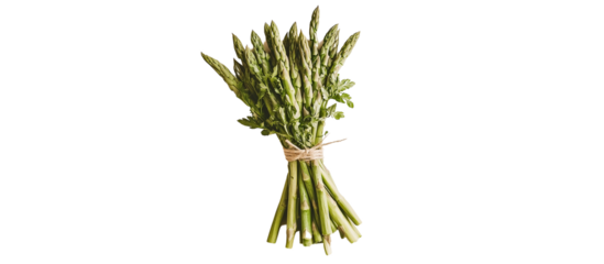 Fresh green asparagus bunch tied with twine isolated on transparent PNG
