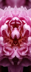 Fototapeta premium Beautiful pink flower with intricate details showcasing natural symmetry and vibrant colors in a close-up view