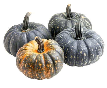Three small pumpkins with varied colors and patterns isolated on transparent PNG - Powered by Adobe