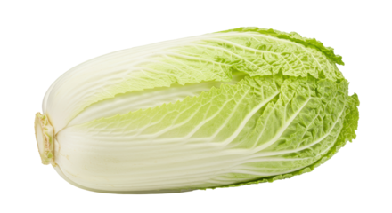 Isolated Napa Cabbage