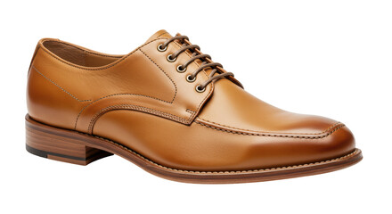 Isolated Leather Shoe