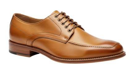 Isolated Leather Shoe