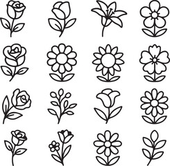 flower illustration set