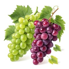 Fototapeta premium Fresh and Vibrant Grapes: A Visual Guide to Green and Red Varieties