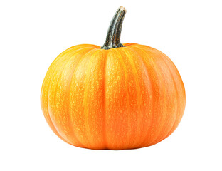 Single orange pumpkin autumn harvest vegetable isolated on transparent PNG
