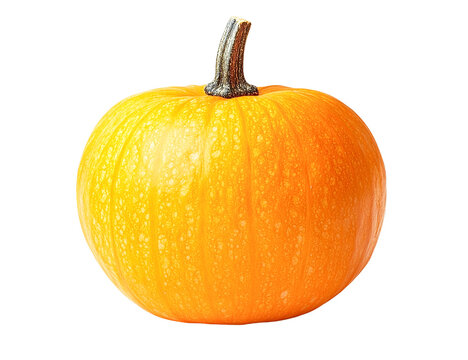 Single orange pumpkin with dark stem isolated on transparent PNG