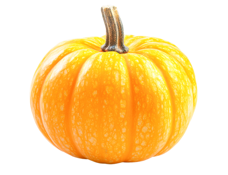 Small orange pumpkin with speckled skin isolated on transparent PNG