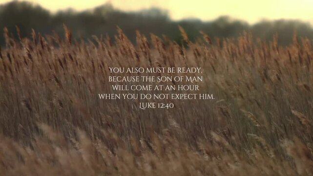A moving video with a background of grass swaying in the wind, featuring the Bible verse from Luke 12:40 in white text positioned in the center.