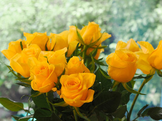 deep yellow roses seen against a glittery green silver background