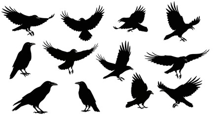 Silhouetted Crows in Various Poses Soaring and Perched
