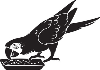 Parrot eating from feeder silhouette style, Exotic bird feeding black and white image