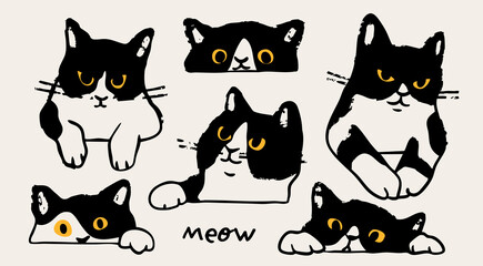 Black and white cat peeking, looking out. Funny character with yellow eyes set. Cute emotional domestic animal. Hiding, hunting, playing concept. Hand drawn Vector illustration. Isolated elements