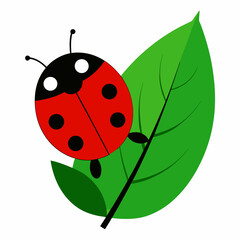 Obraz premium ladybug on green leaf