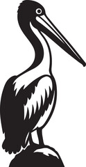 Pelican silhouette black and white bold art, Large bird in flight vector graphic
