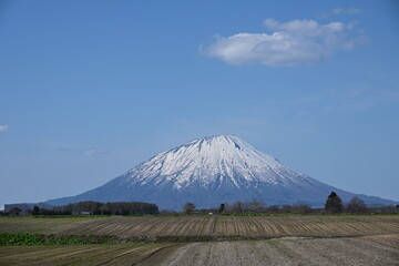 Fototapeta premium 春残雪の羊蹄山と青空に浮かぶ雲