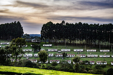 Obraz premium view of the city