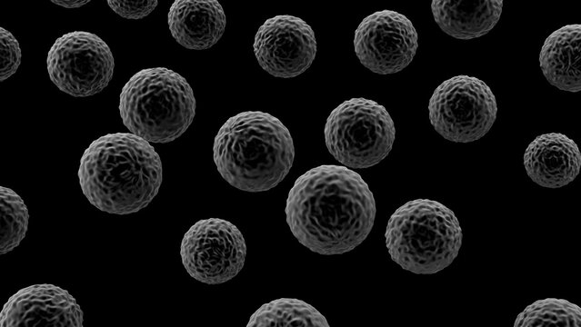 3D Rendering of Scanning Electron Micrograph of Many Spherical Shaped Bacteria