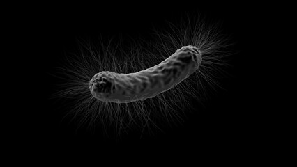 Bacterium Flagella 3D Rendering