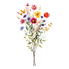Fototapeta premium Mixed wildflowers clip art illustration watercolor bouquet vector