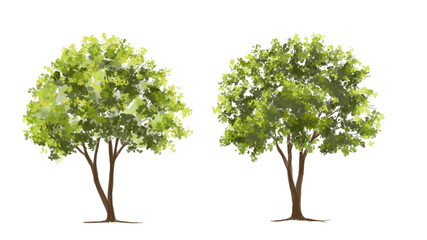 tree with green leaves
