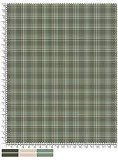 Subtle Green and Beige Plaid Fabric Swatch with Measurement Markings for Design and Textile Applications
