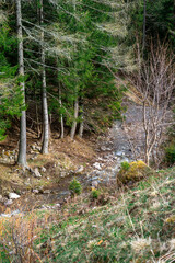 A small mountain stream flowing between the hills of the Austrian Alps
