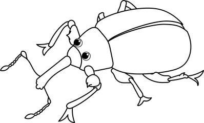 Molytinae weevil coloring page illustration
